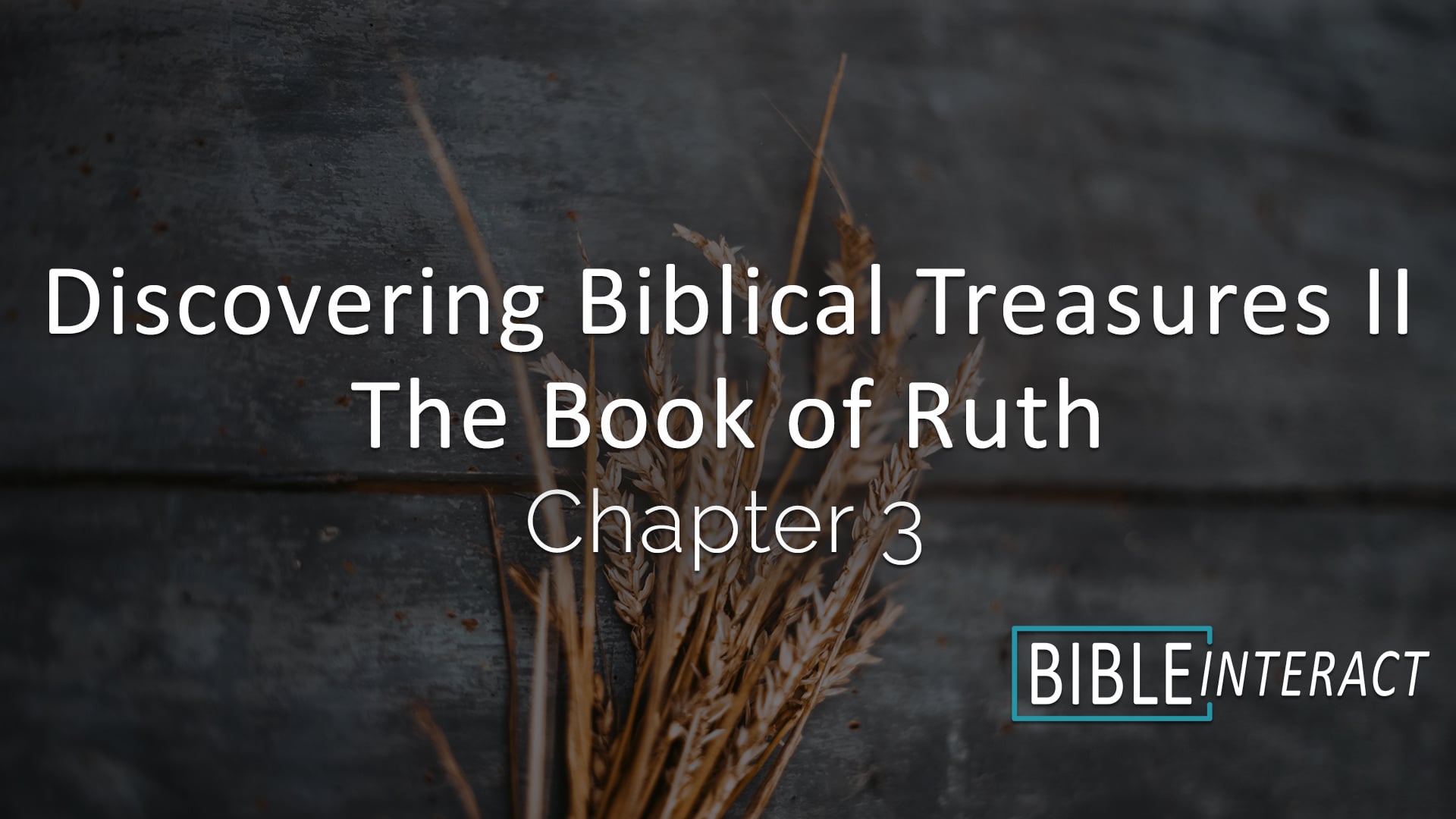 Discovering Biblical Treasures II: The Book of Ruth Chapter 2