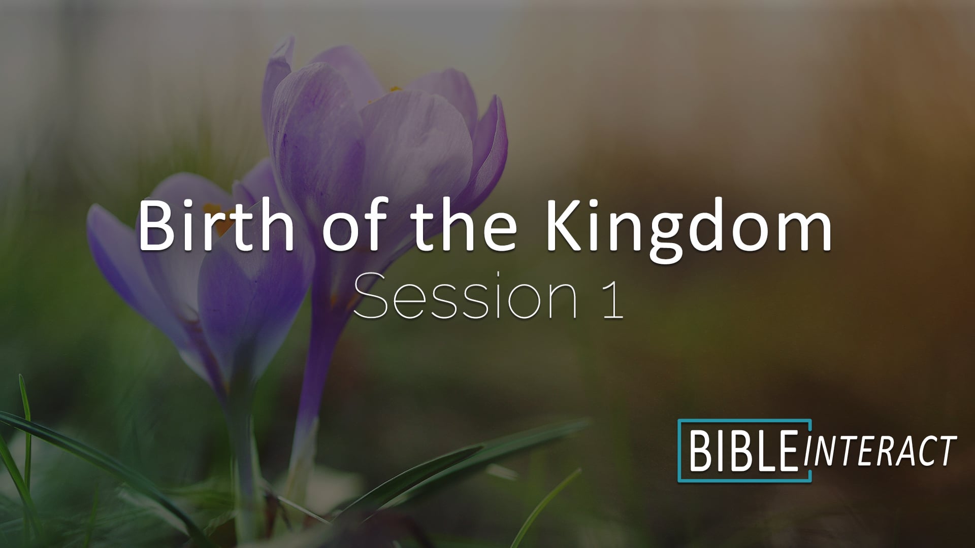 Birth of the Kingdom Session 1