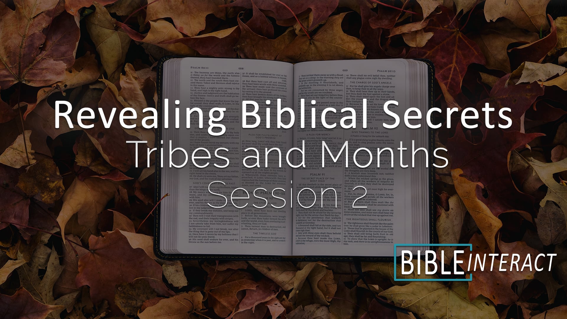 Revealing Biblical Secrets: Tribes and Months Session 2