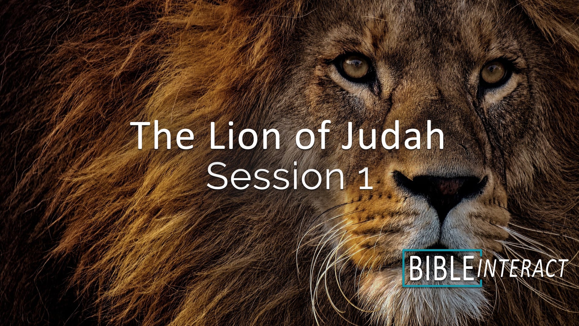 The Lion of Judah Session 1