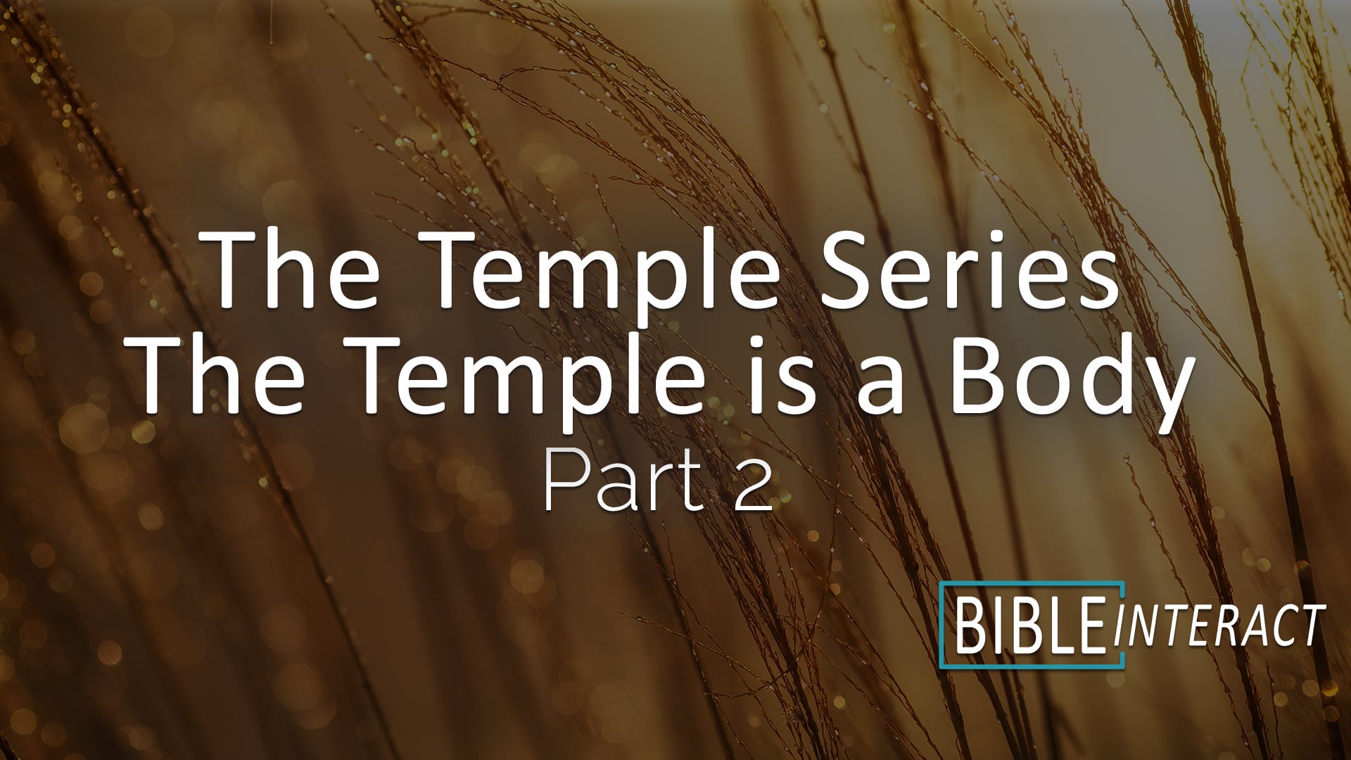 The Temple Series: The Temple is a Body Part 2