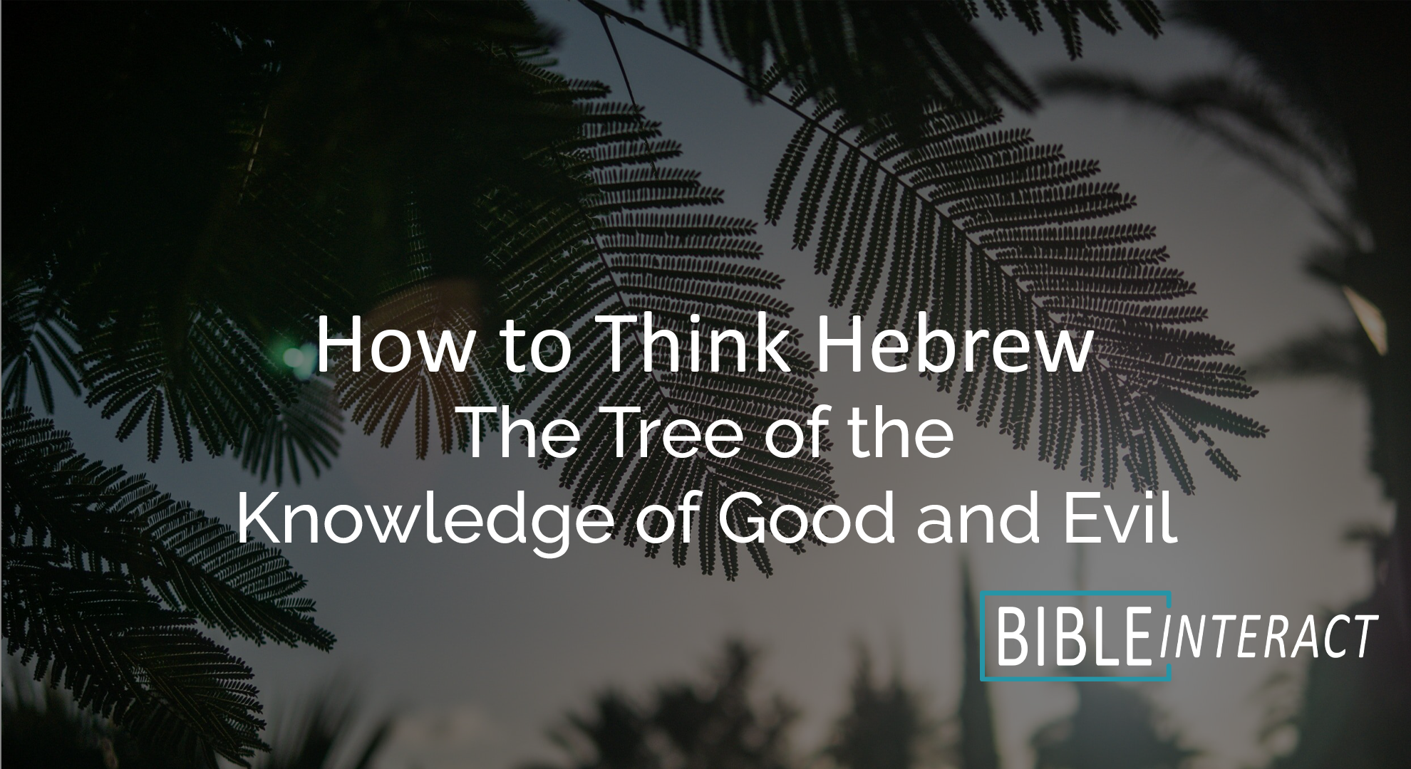 ▶️ How to Think Hebrew Episode 7: The Tree of Knowledge of Good and Evil