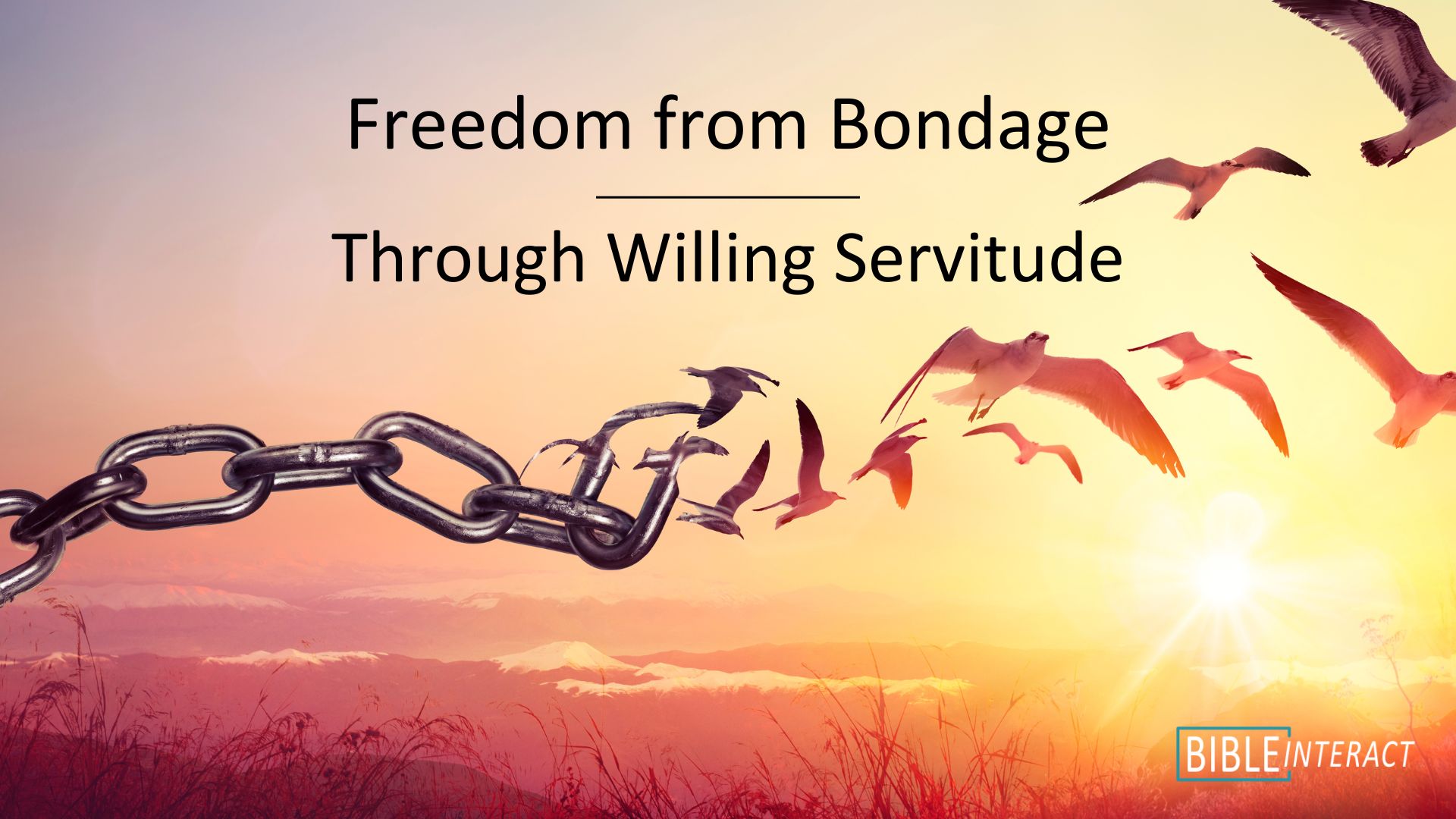 📑 Freedom from Bondage through Willing Servitude